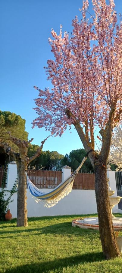 Holiday home La Espiga *
