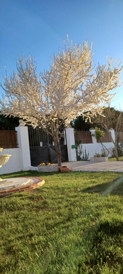 Holiday home La Espiga Valladolid