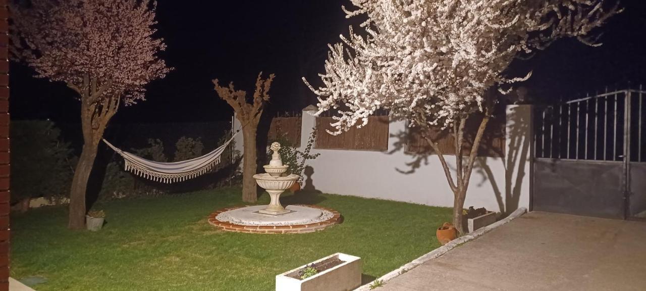 La Espiga * Valladolid